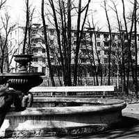 1971 г. Парк Пушкина