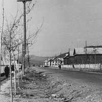 1961 г. Горелое