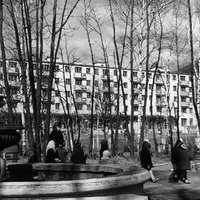 Парк Пушкина