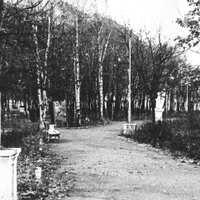Аллея в парке